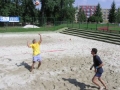 cel lnek