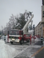 cel lnek